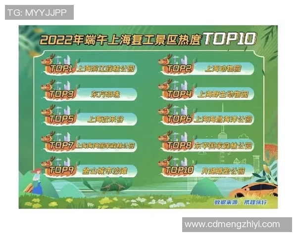 深圳飞盘队团队协作表现分析与提升策略探讨